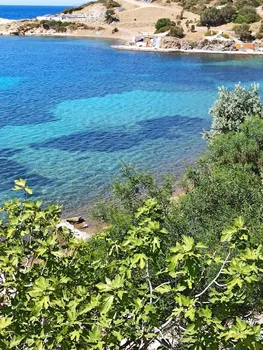 Pollen Beach Foça resimleri