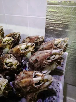 By Kelle Söğüş Buca resimleri