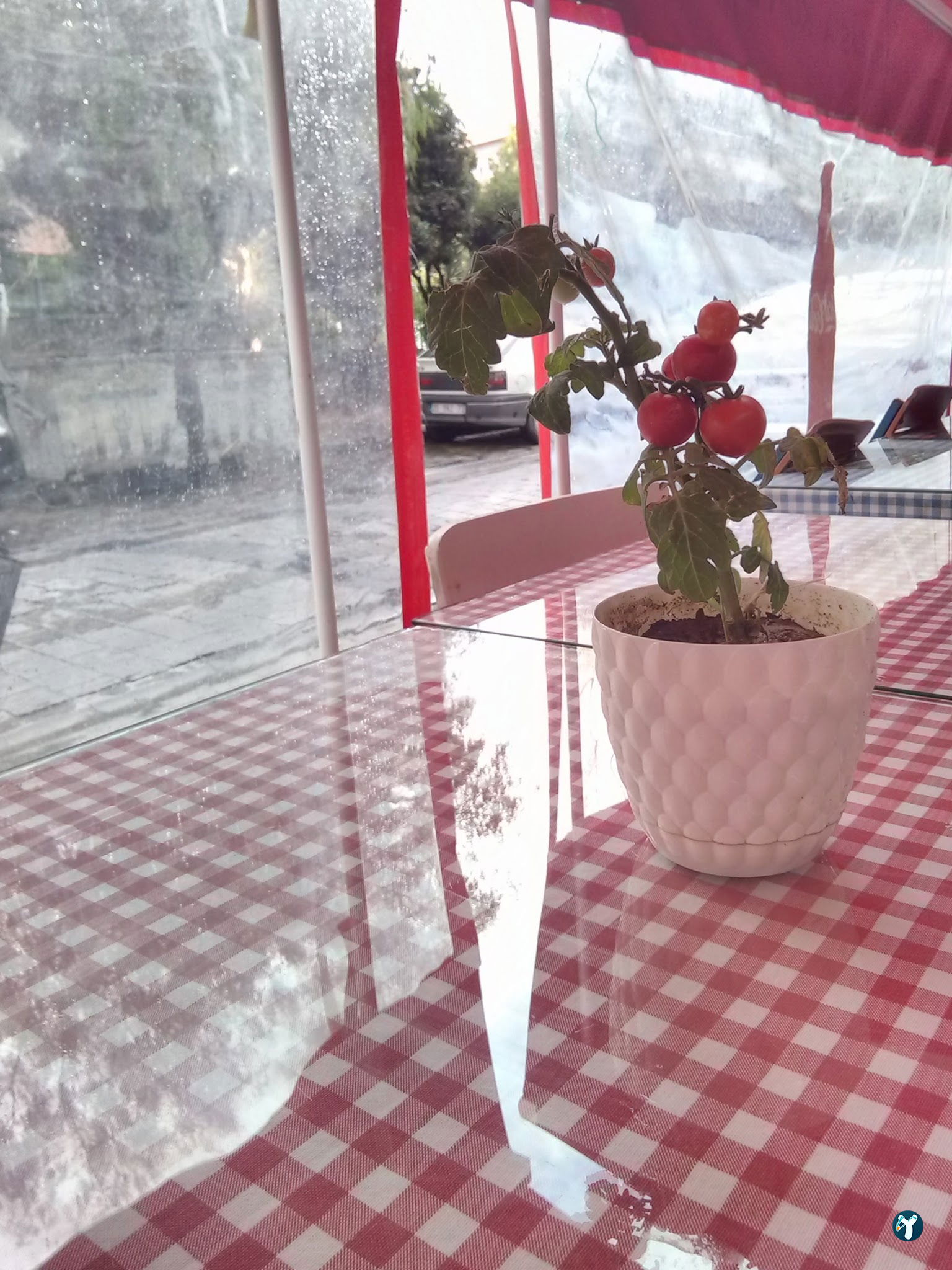 Melemenci Atom' Un Yeri