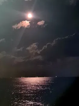 Ormanya Cafe Ve Oyun Evi / Mersin resimleri