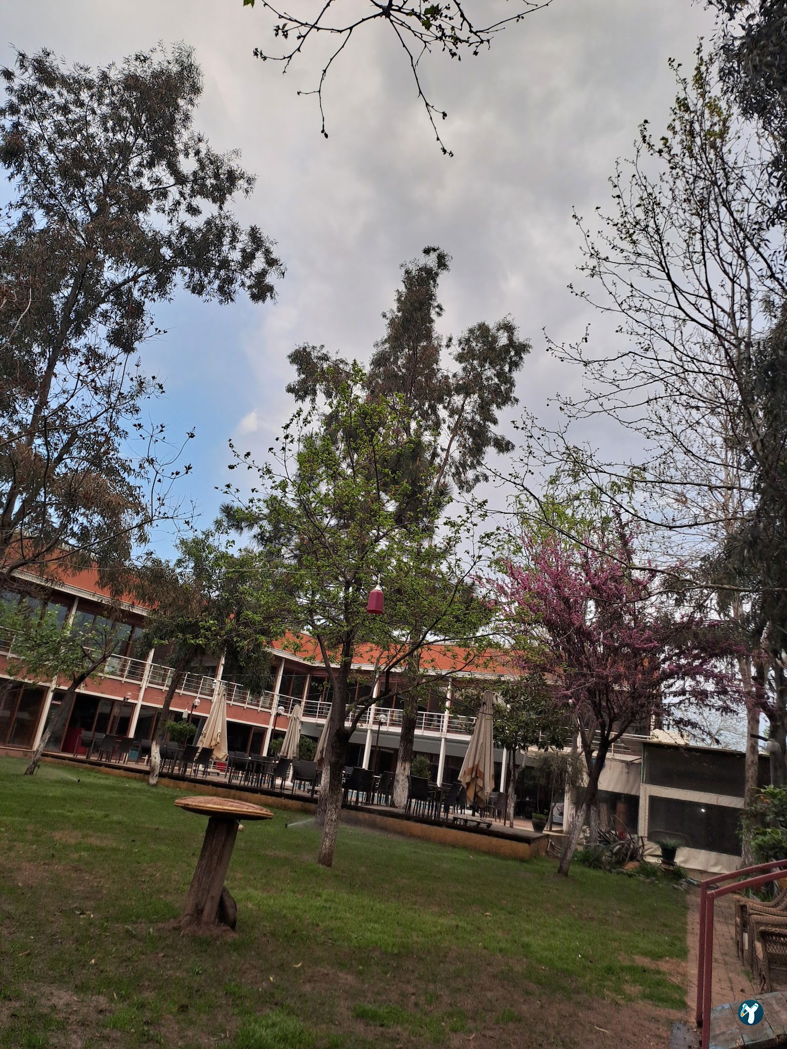 Tarçın Bistro Cafe
