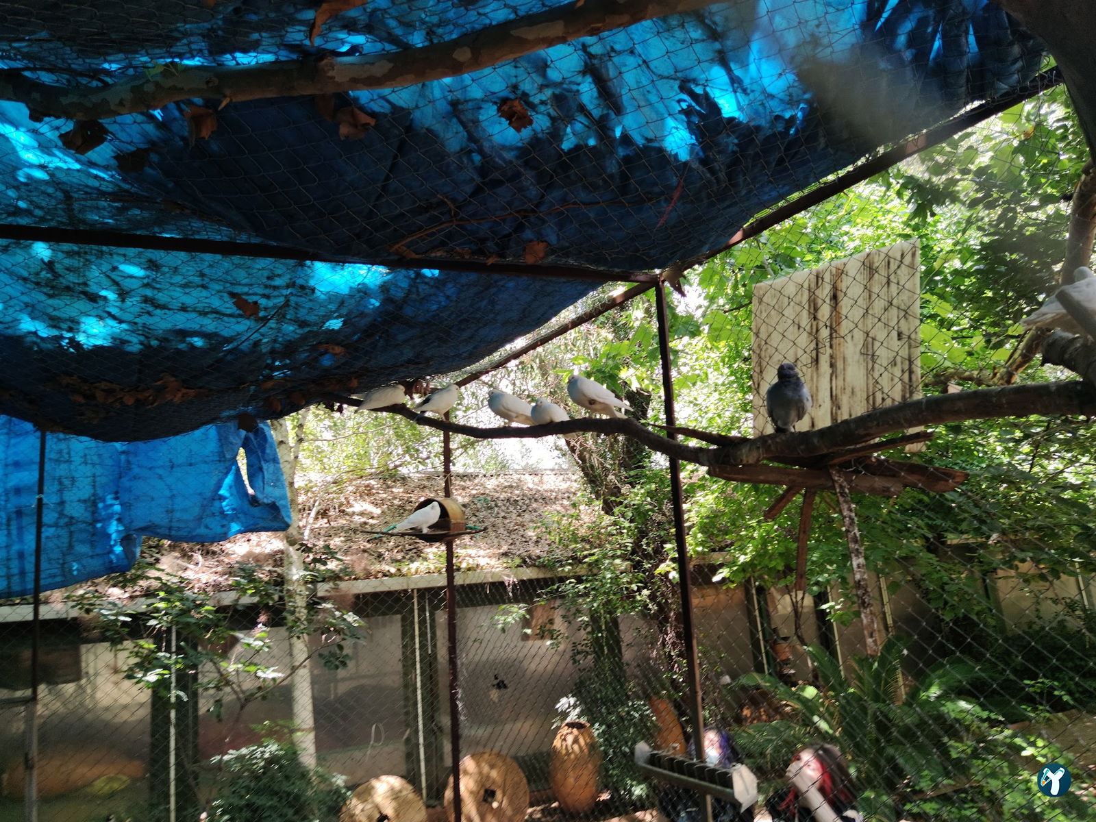 Tarçın Bistro Cafe