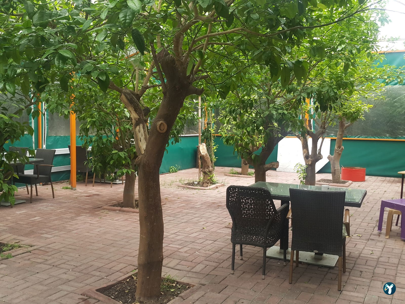 Tarçın Bistro Cafe