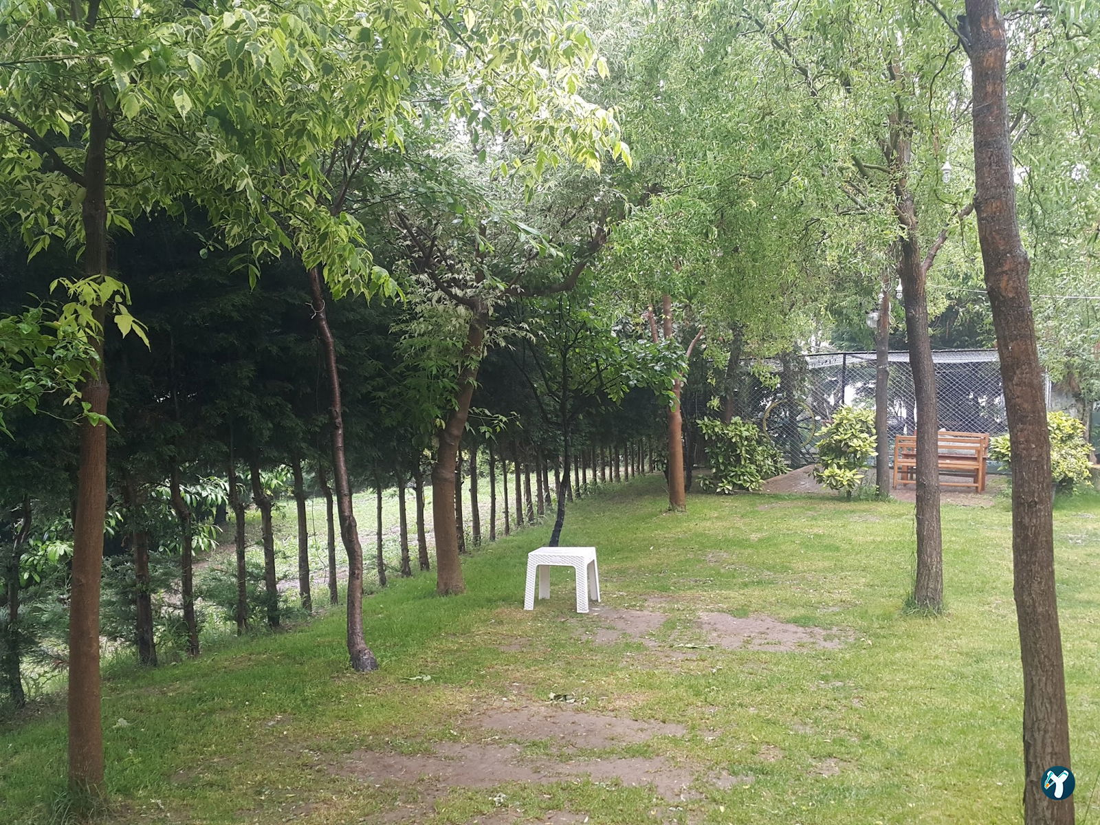 Tarçın Bistro Cafe