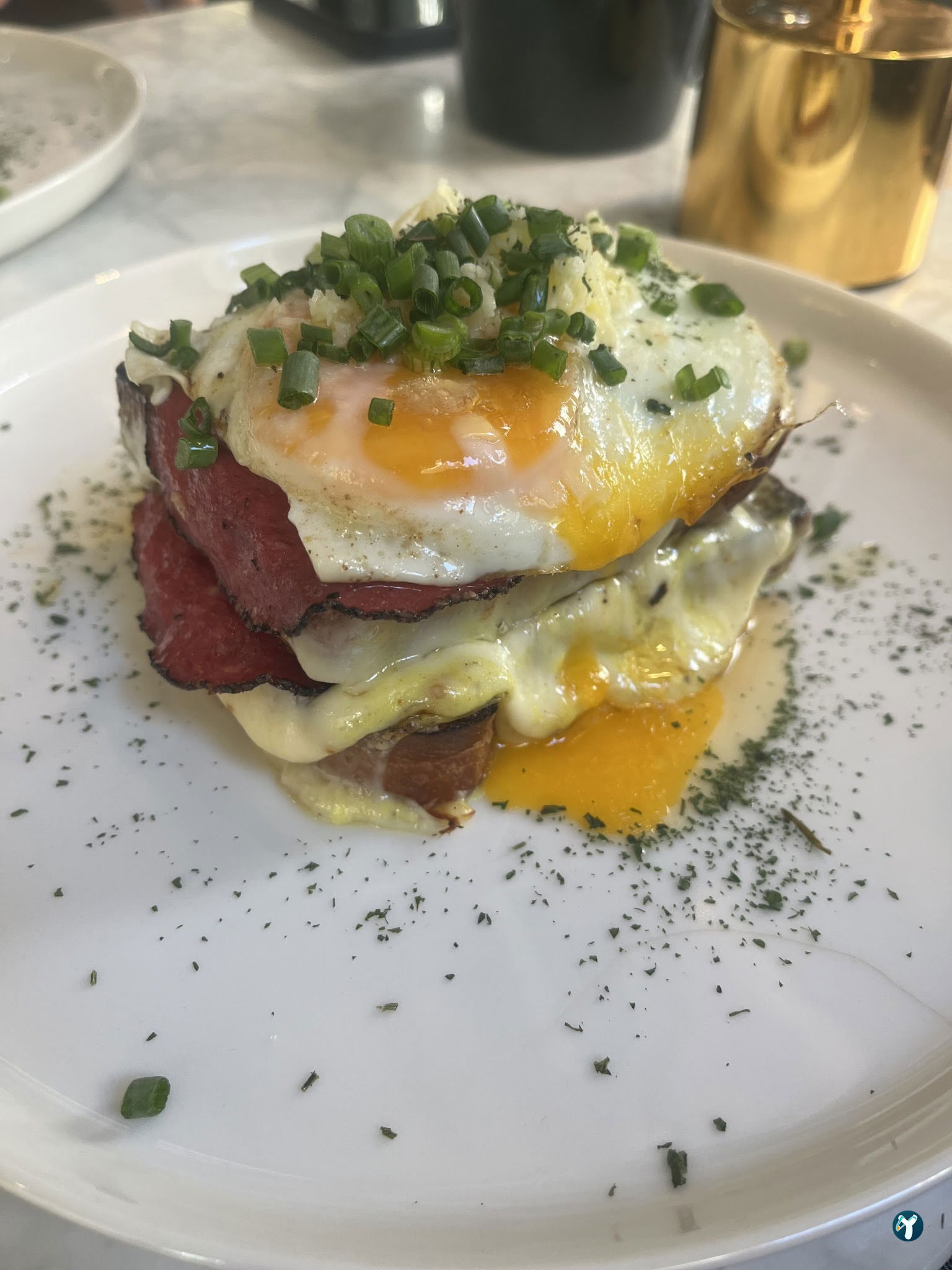 Rafine Moda - Fine Cuisine