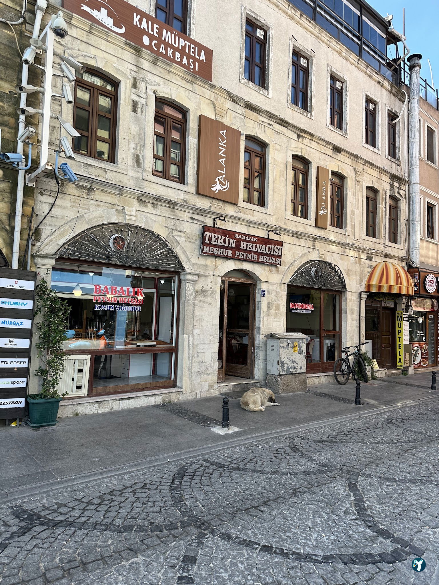 Babalik Teki̇n Peyni̇r Helvacisi