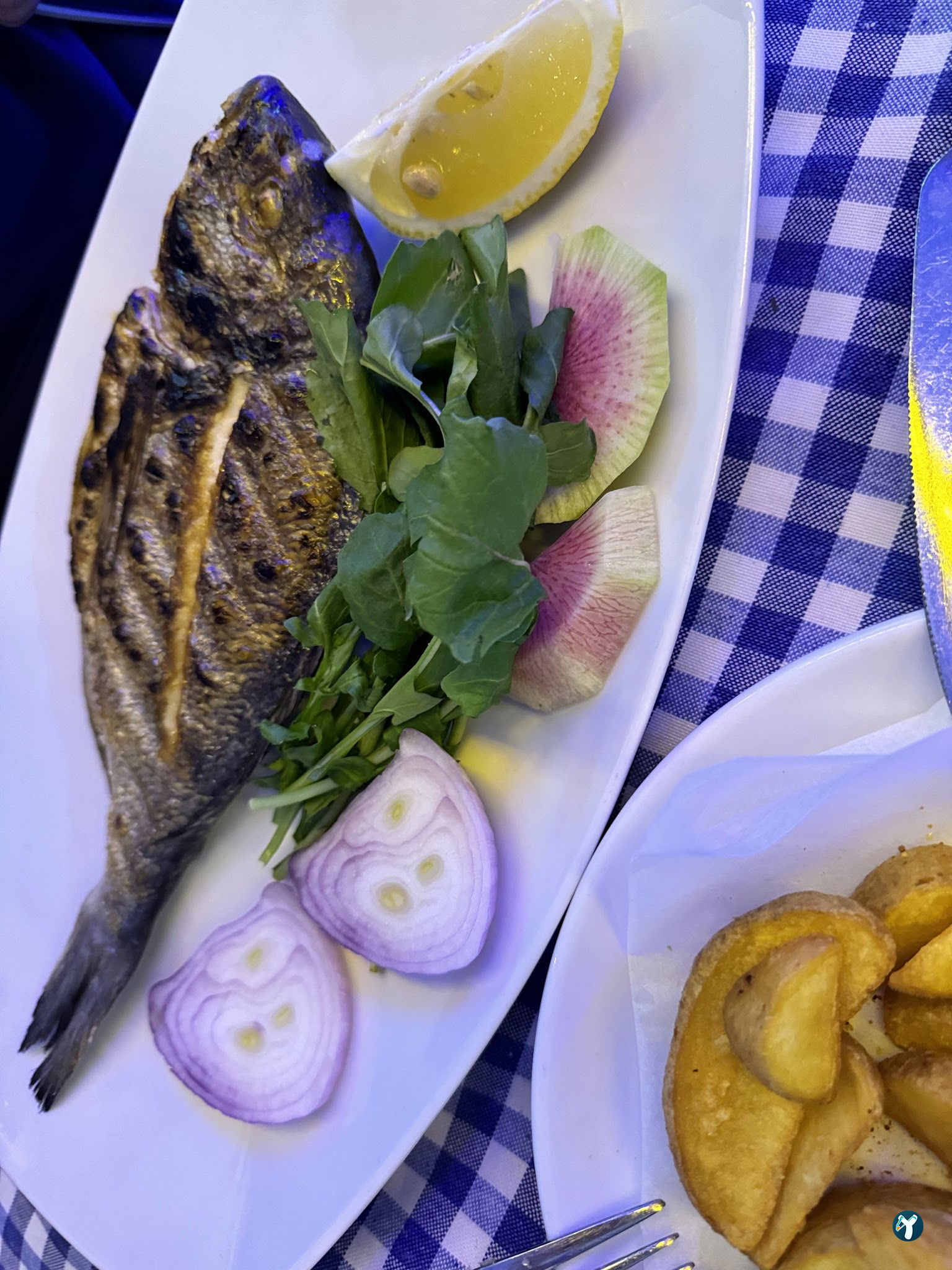 Kadıköy Balıkçısı Hayati