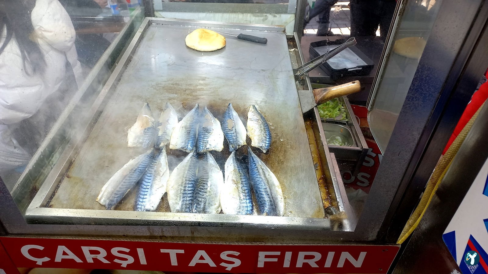 Kadıköy Balıkçısı Hayati