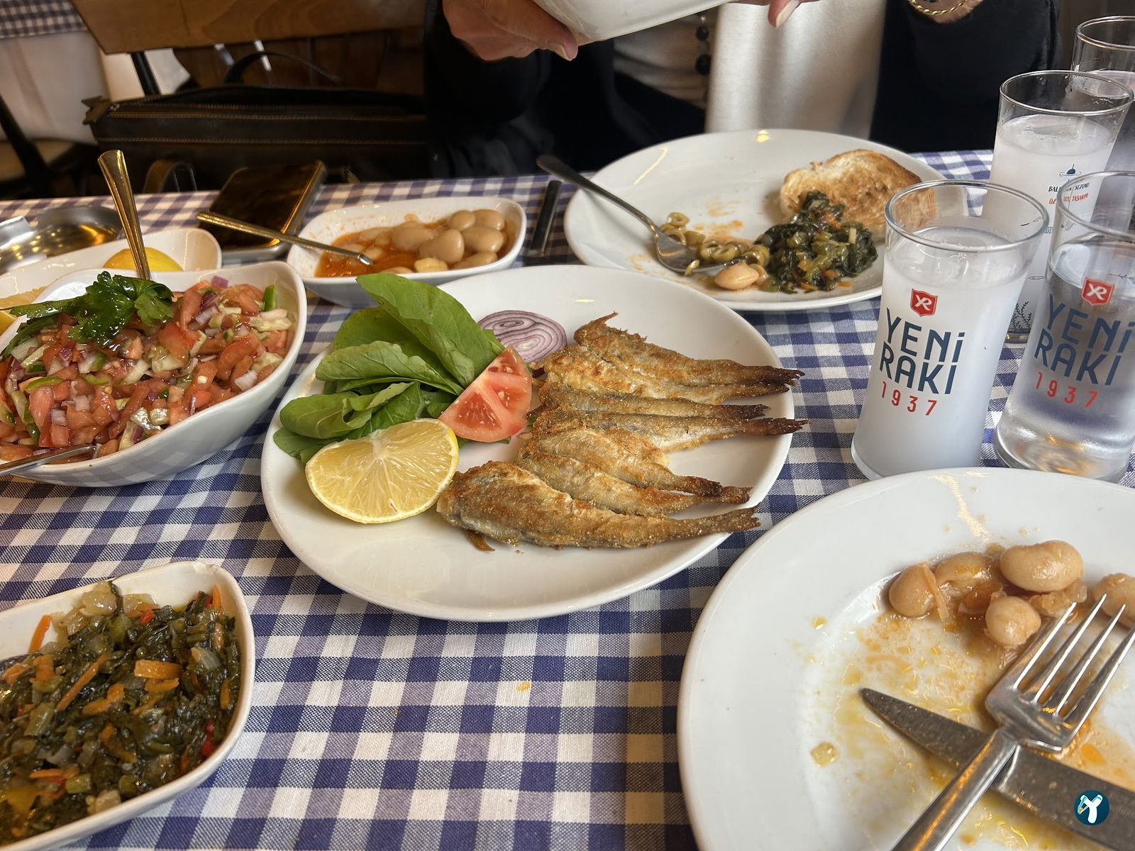 Kadıköy Balıkçısı Hayati