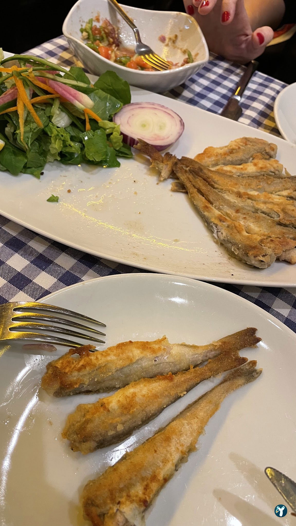 Kadıköy Balıkçısı Hayati