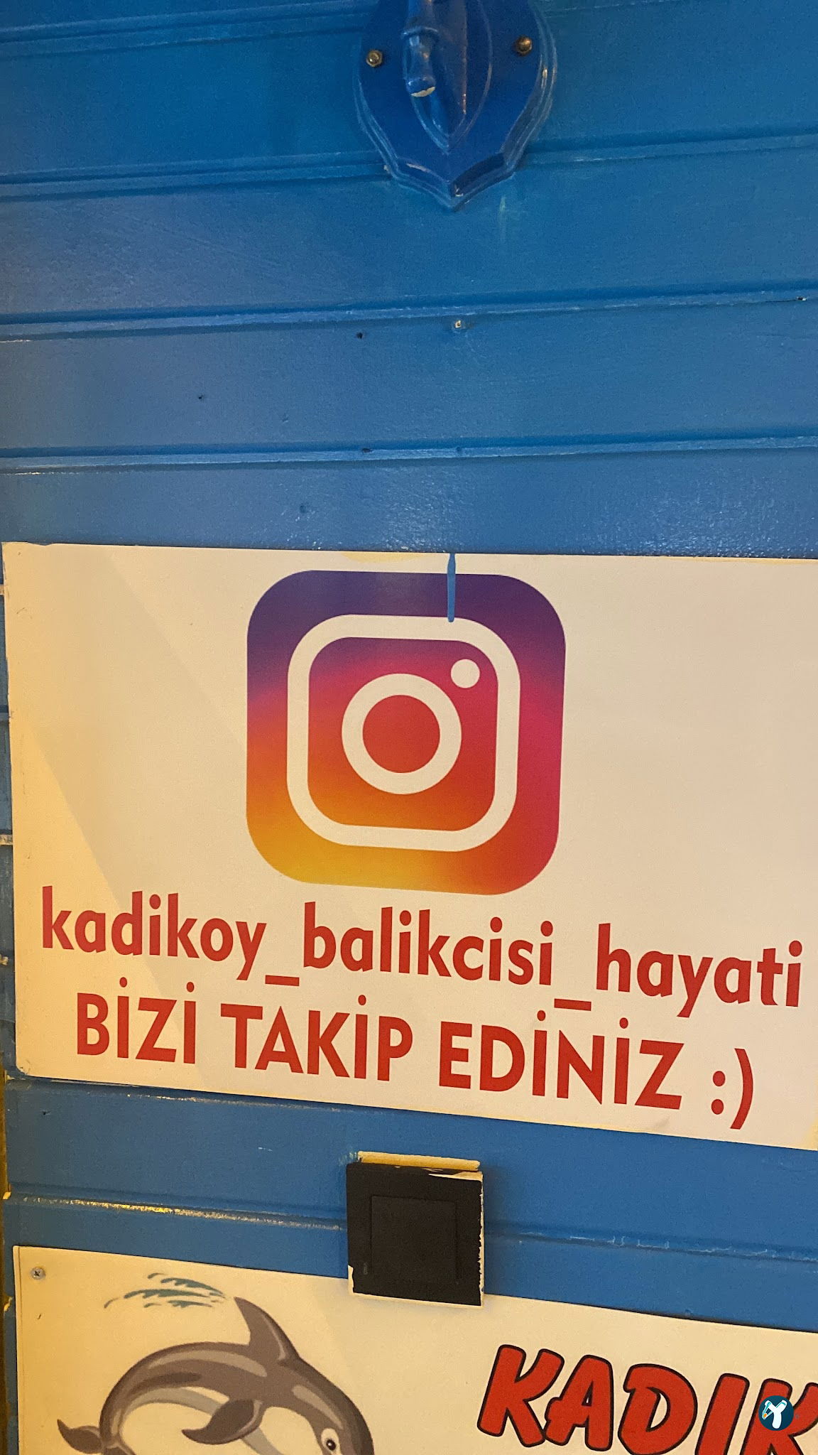Kadıköy Balıkçısı Hayati