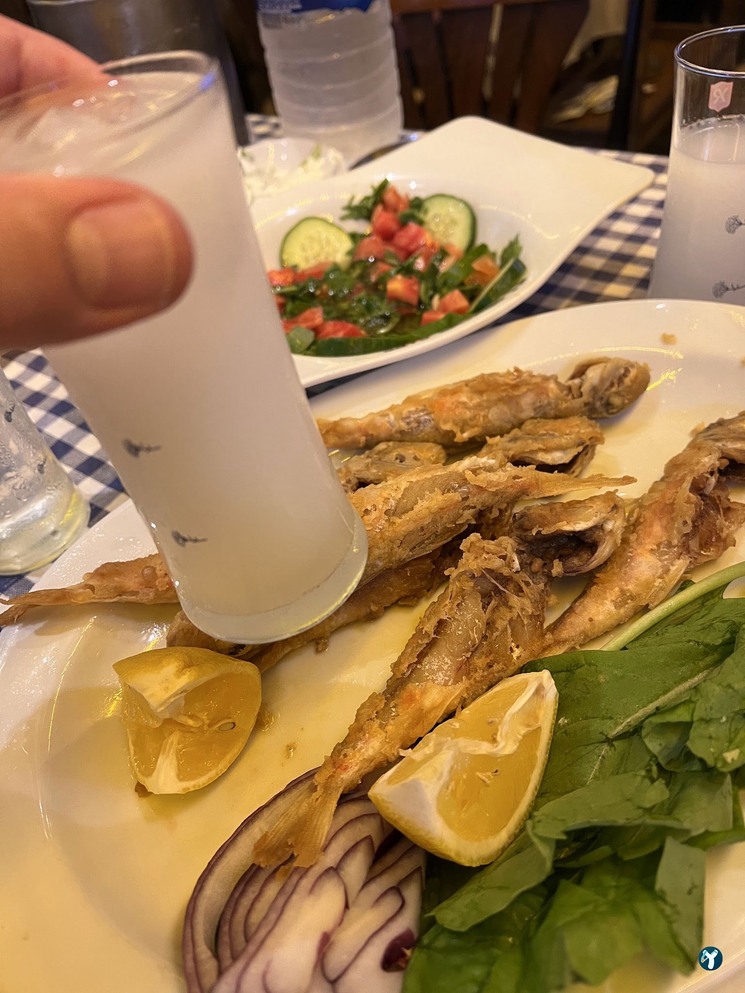 Kadıköy Balıkçısı Hayati