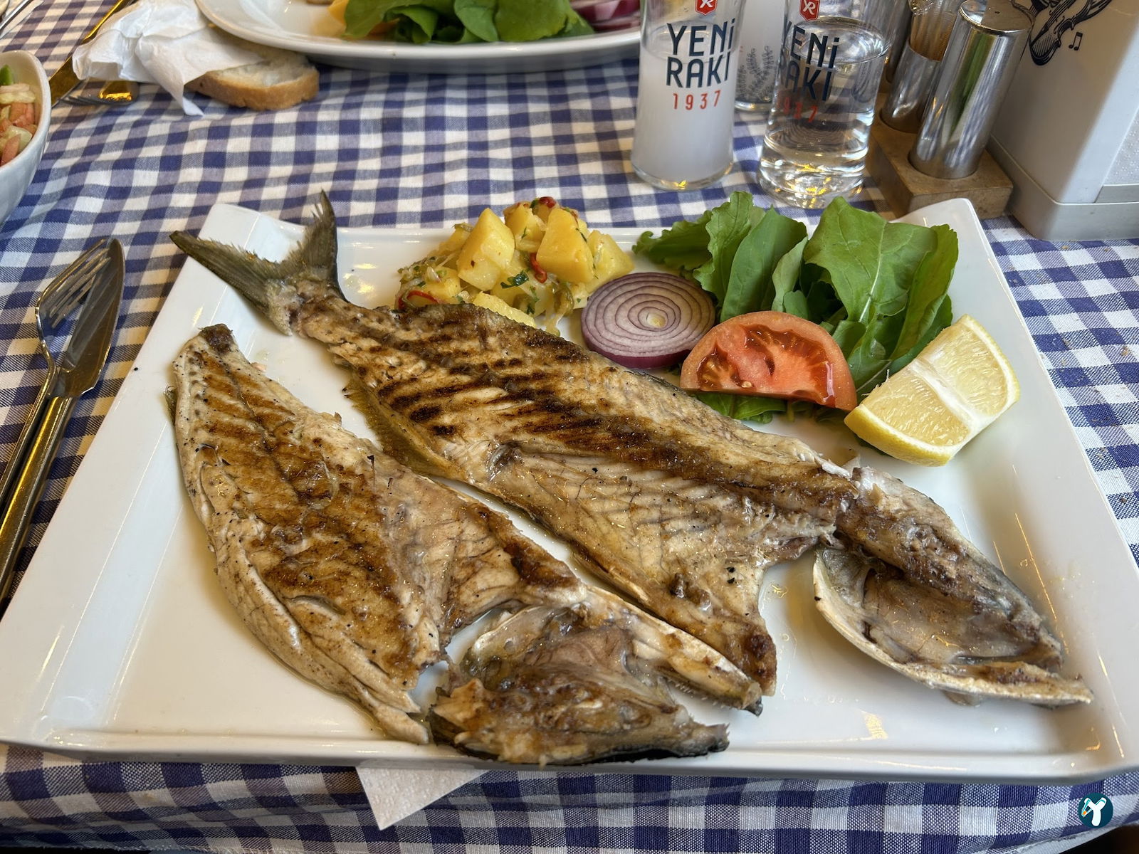 Kadıköy Balıkçısı Hayati