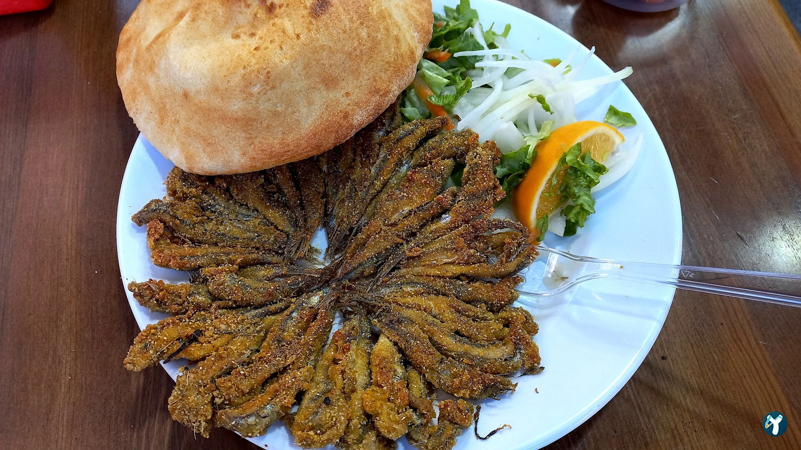 Kadıköy Balıkçısı Hayati