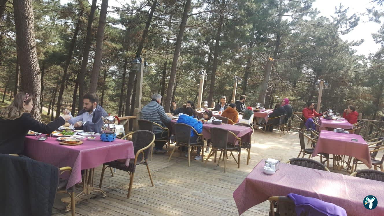 Orman Cafe & Restaurant