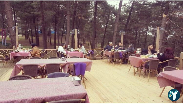 Orman Cafe & Restaurant