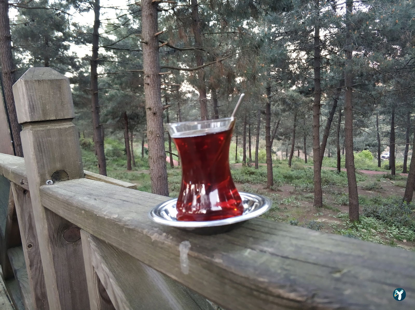 Orman Cafe & Restaurant