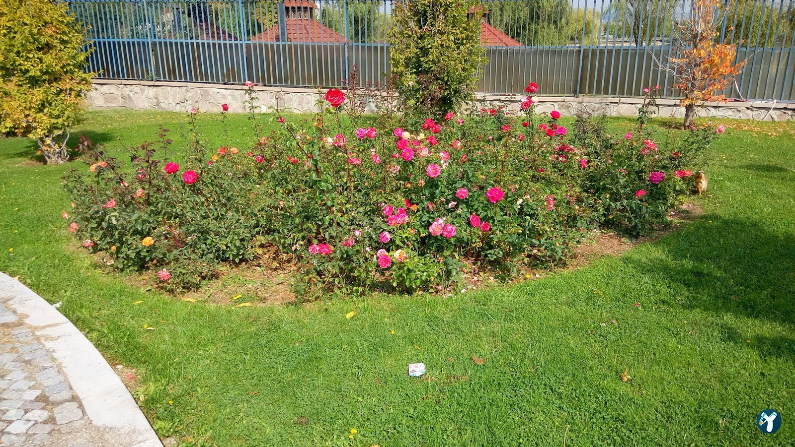Şövalye Lokantası