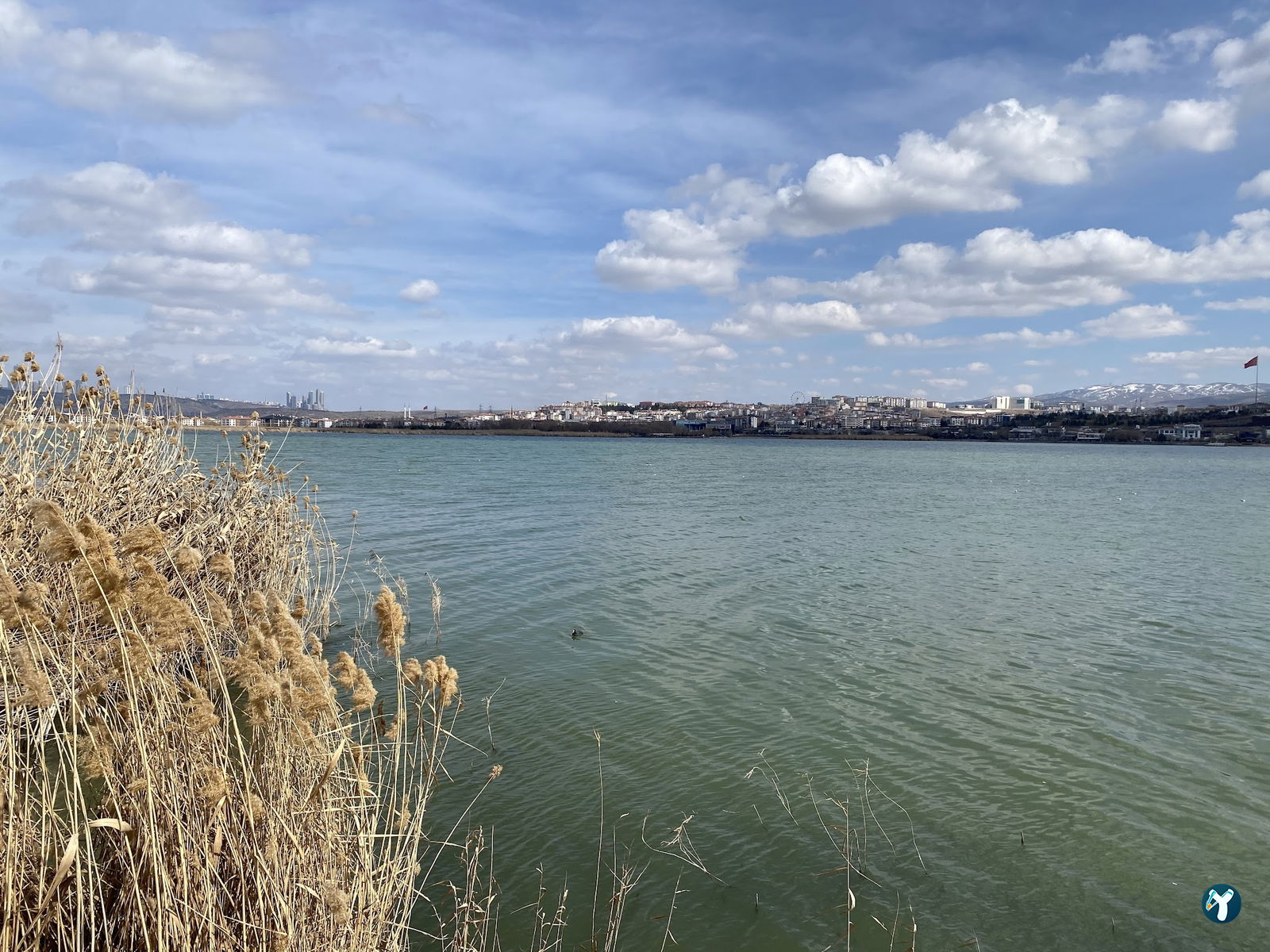 Şövalye Lokantası