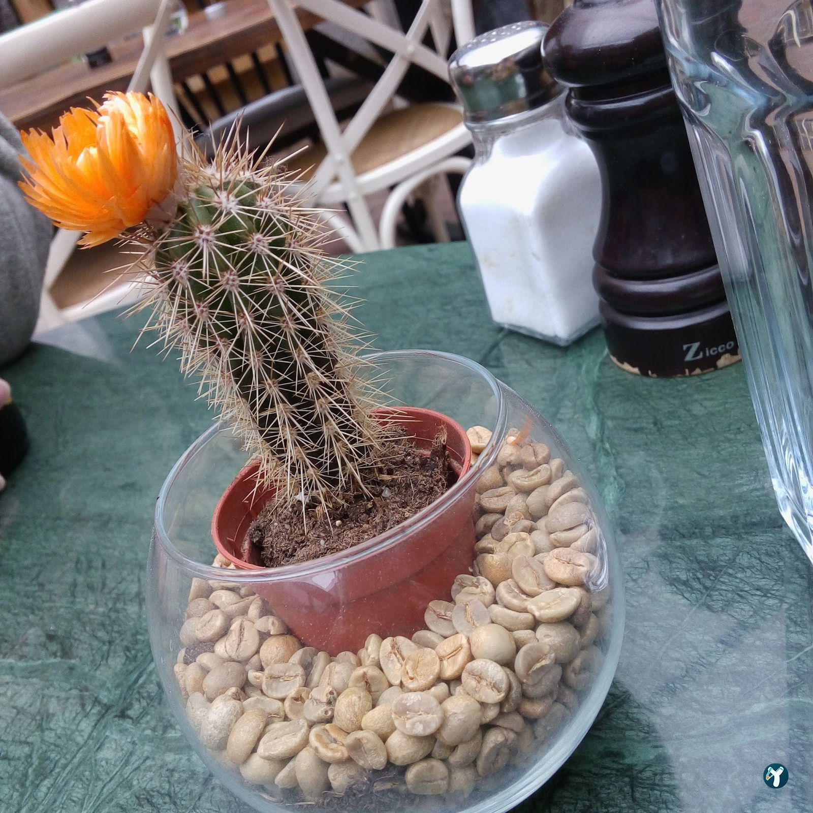 Kukina Le Jardin