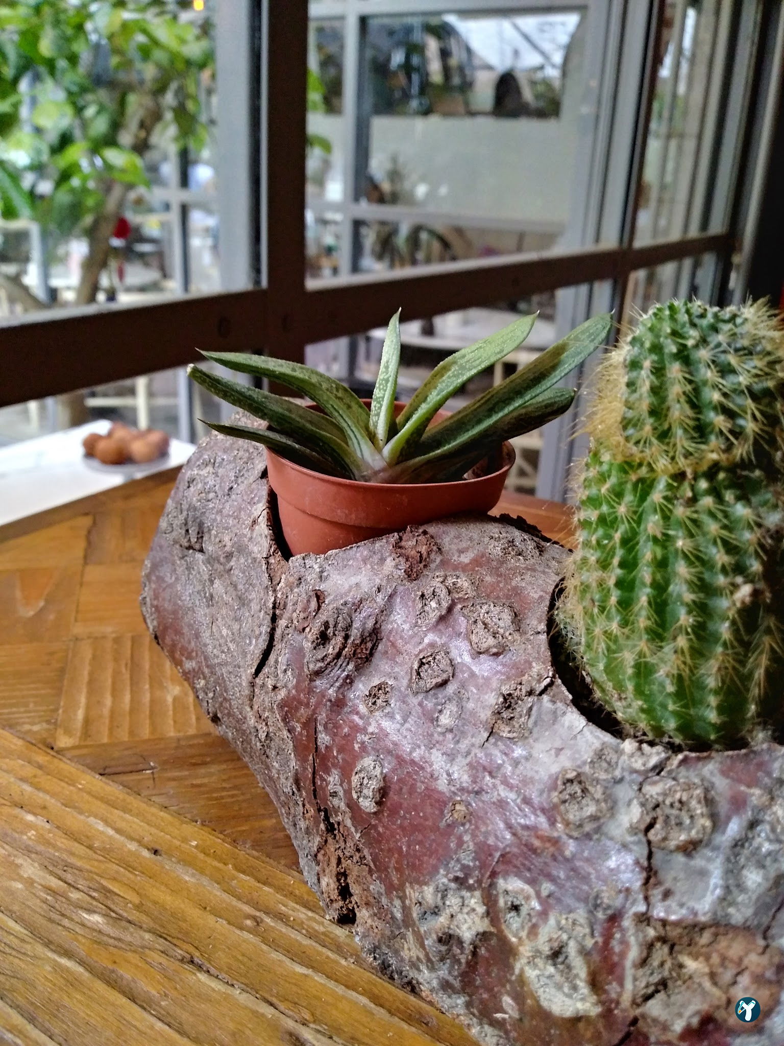Kukina Le Jardin