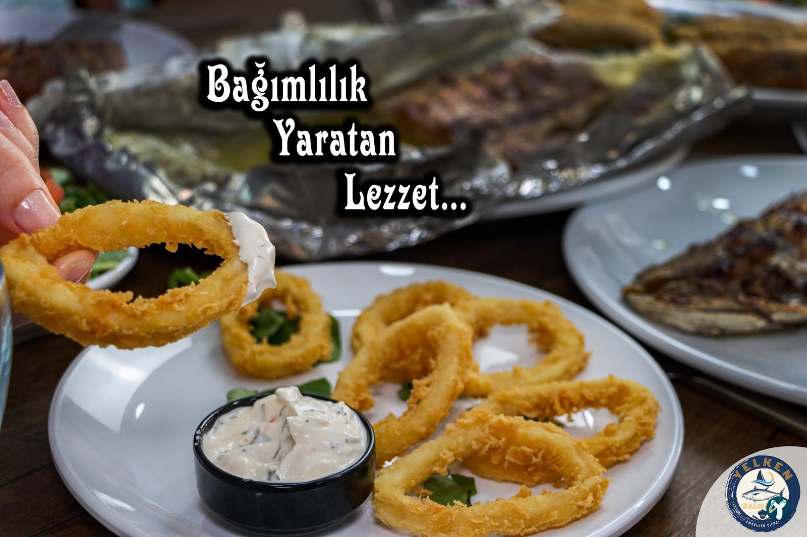 Yelken Balıkçılık