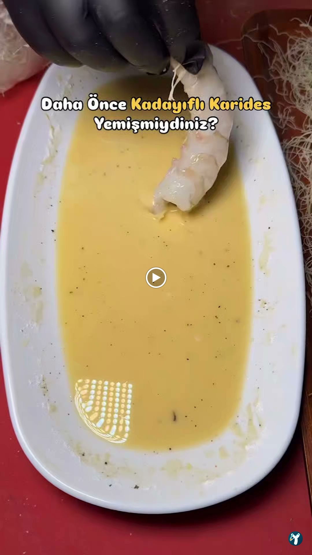 Yelken Balıkçılık