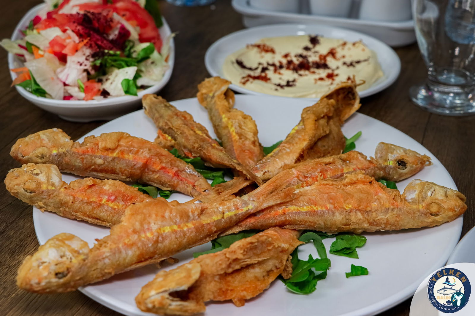 Yelken Balıkçılık