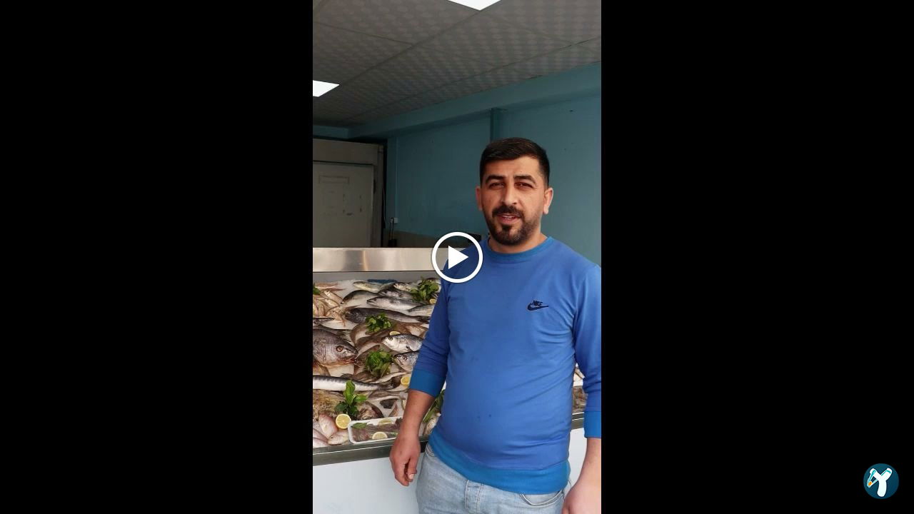 Yelken Balıkçılık