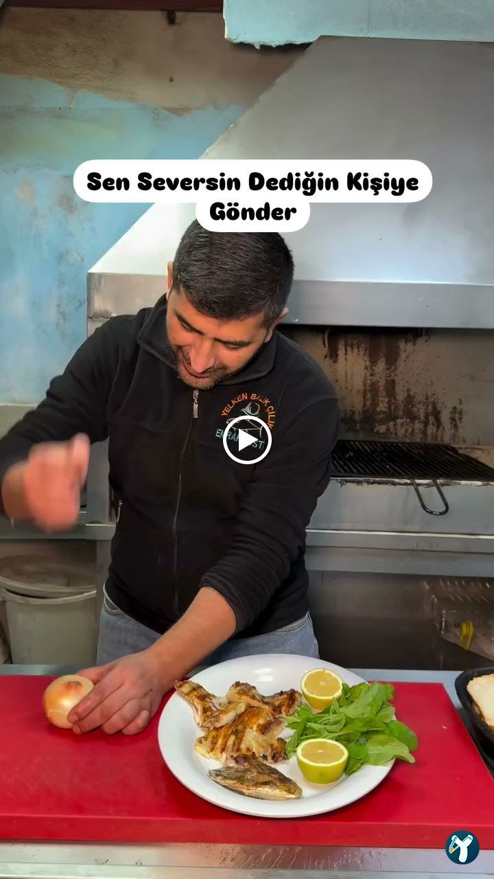 Yelken Balıkçılık
