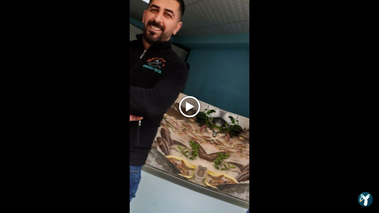 Yelken Balıkçılık