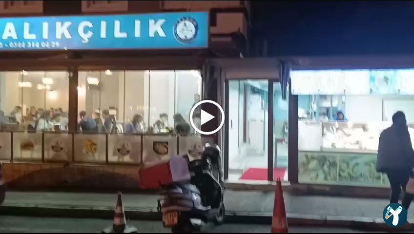 Yelken Balıkçılık