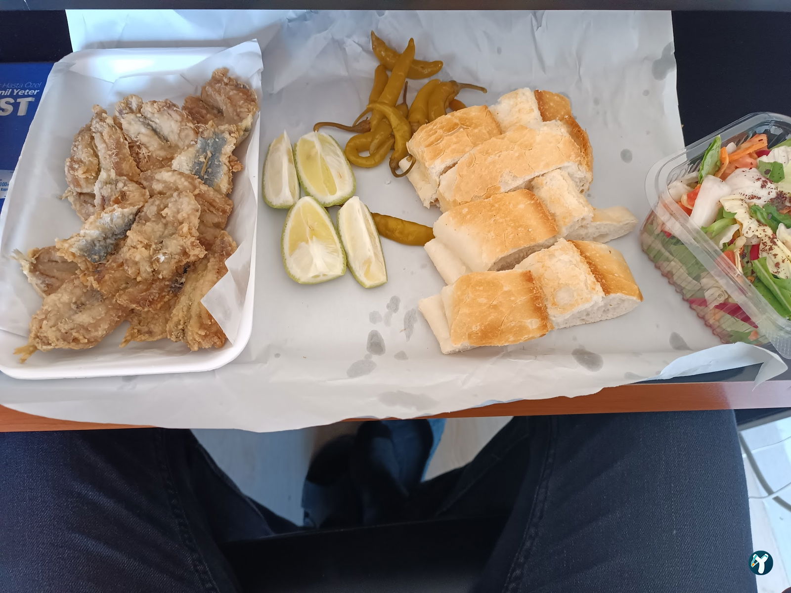 Yelken Balıkçılık