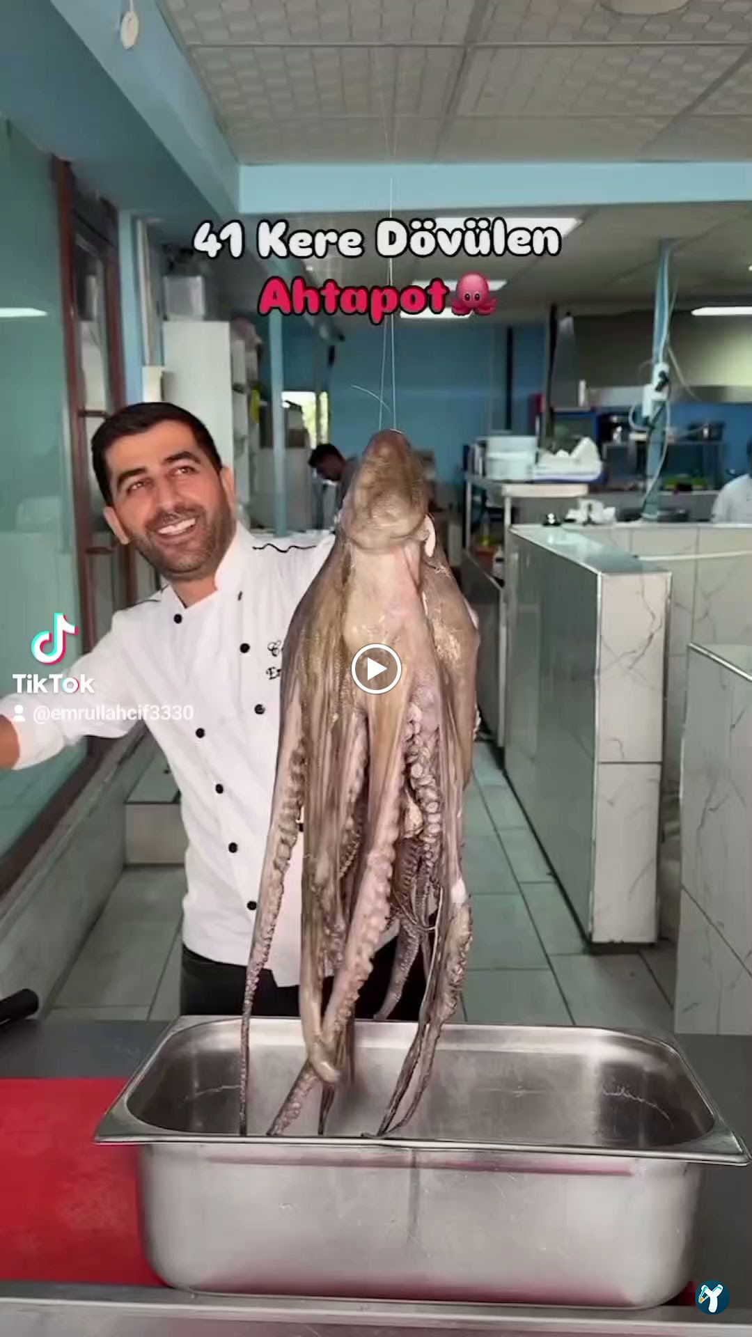 Yelken Balıkçılık