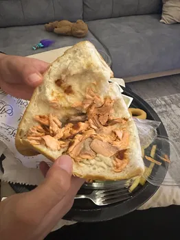 Yelken Balıkçılık resimleri