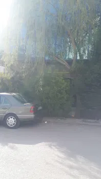 Kahvehane,Cafe resimleri