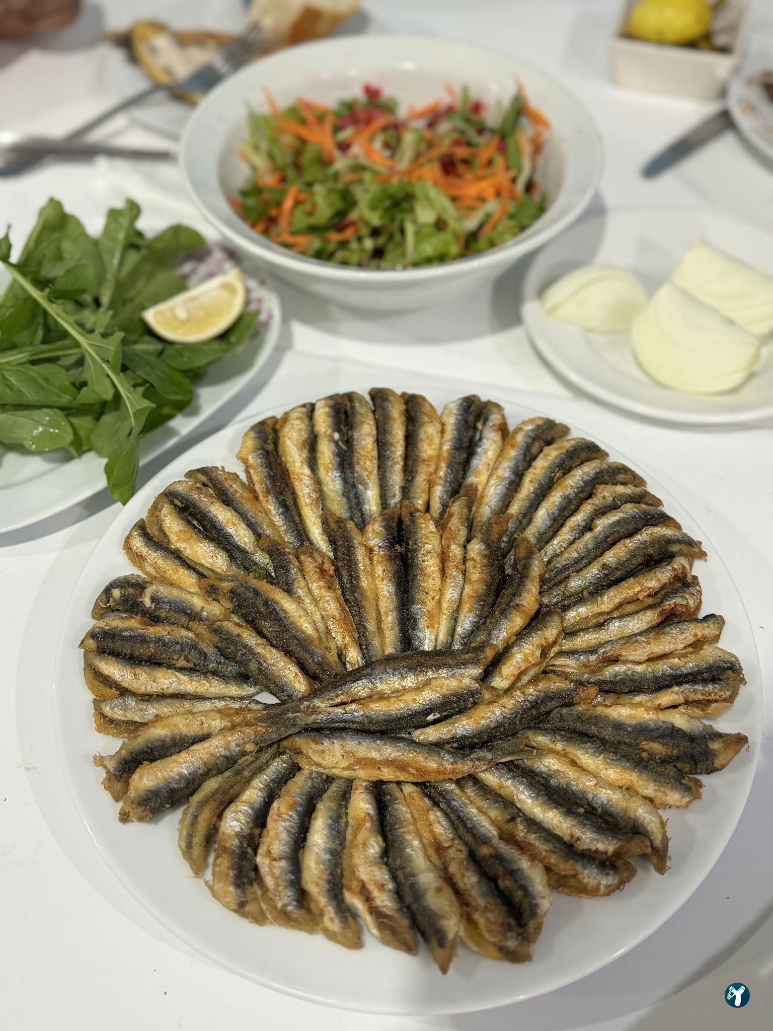 Mert Balıkçılık