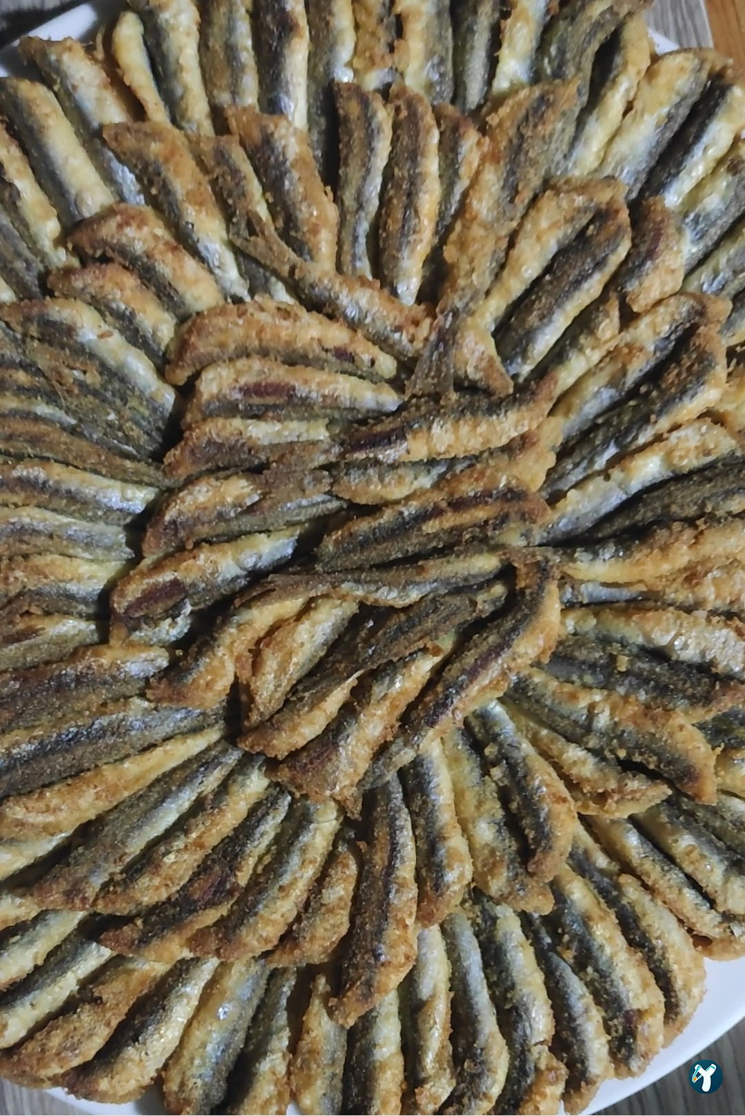 Mert Balıkçılık