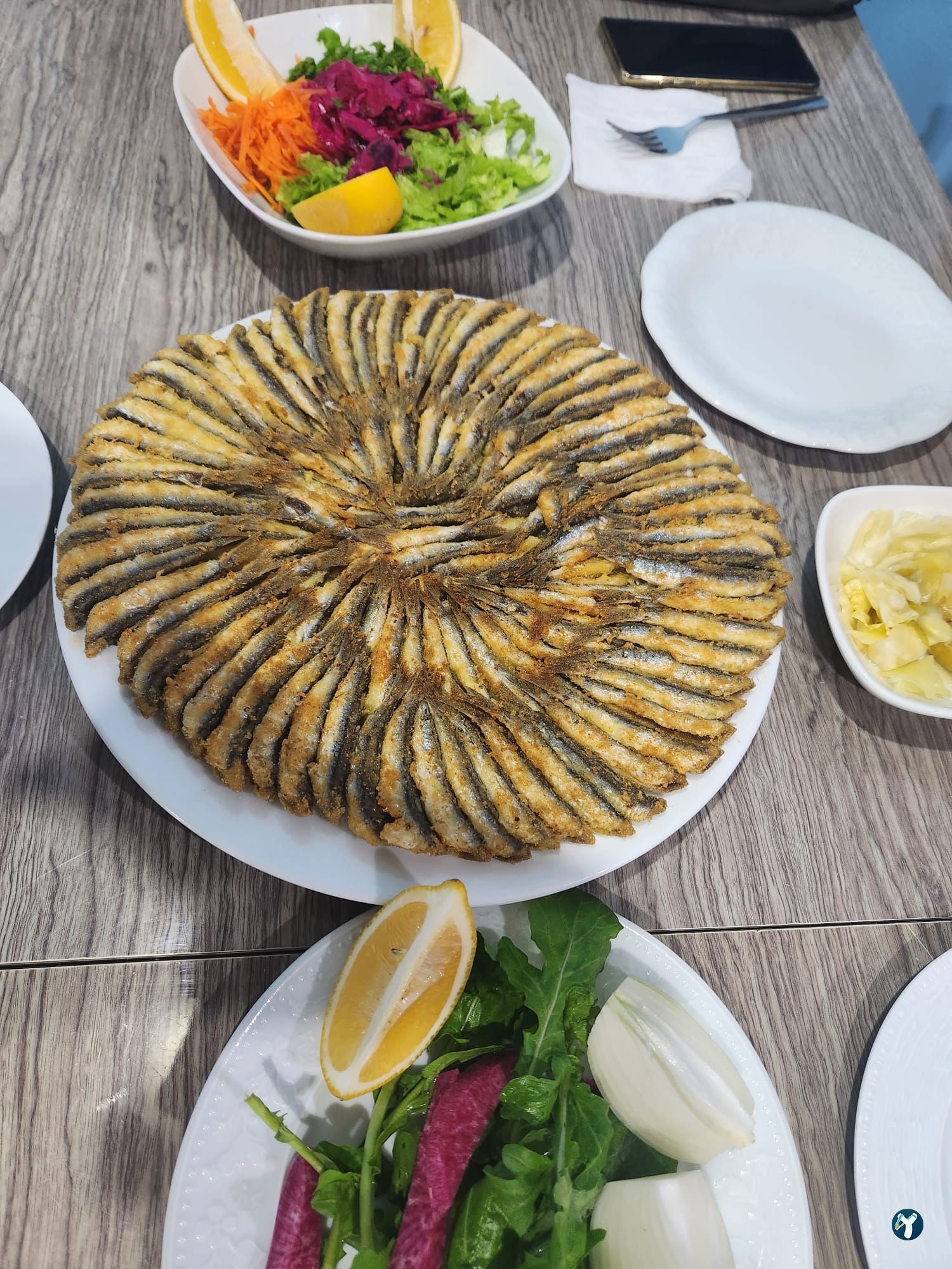 Mert Balıkçılık