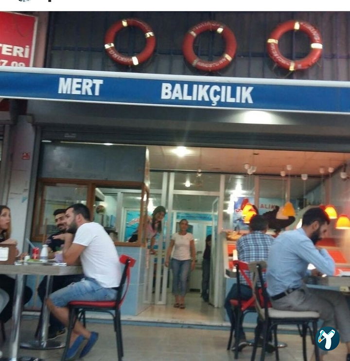 Mert Balıkçılık