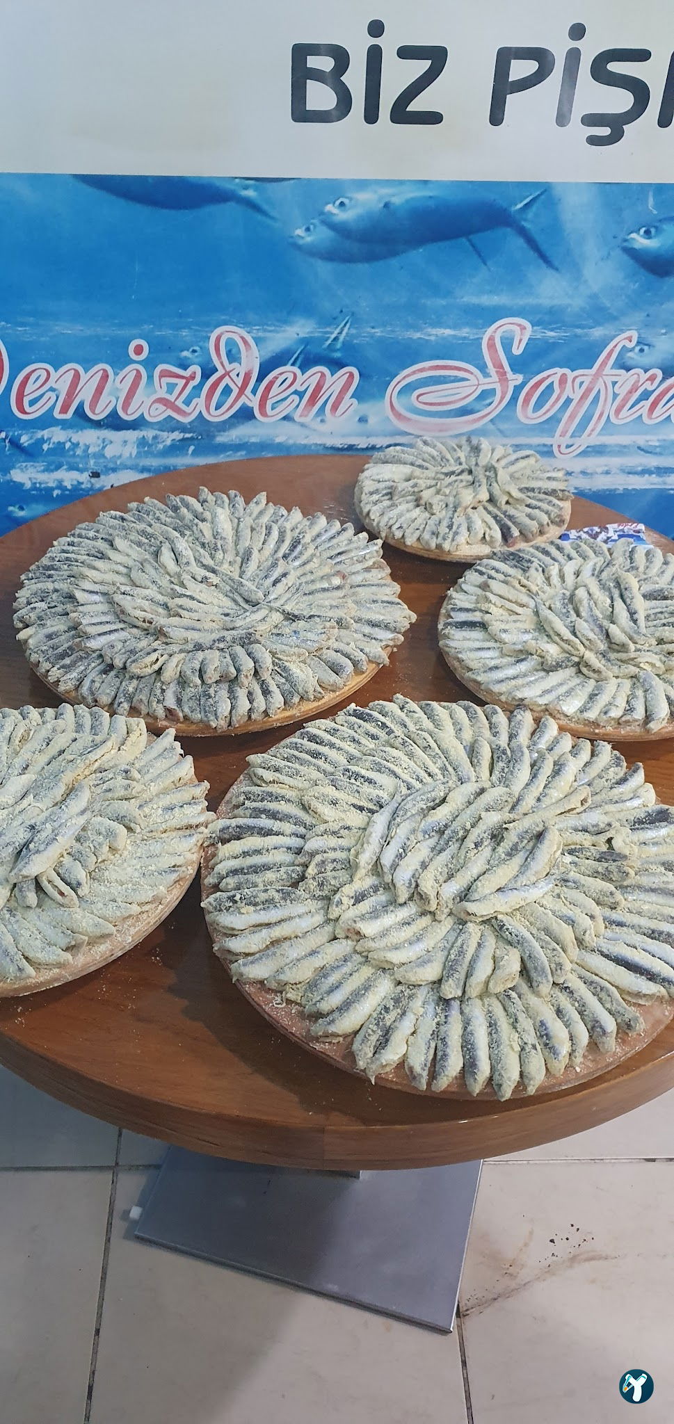 Mert Balıkçılık