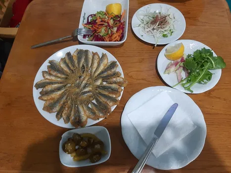 Mert Balıkçılık resimleri