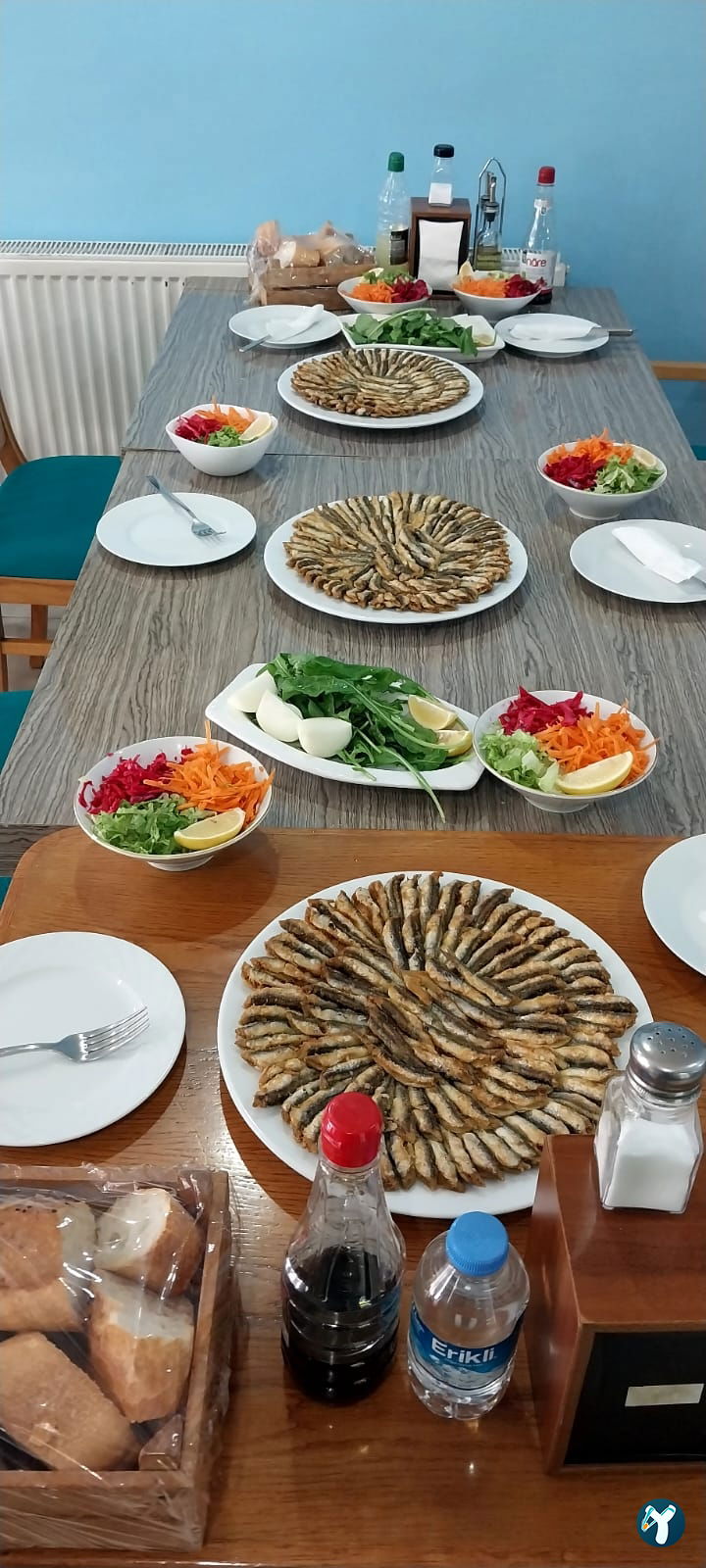 Mert Balıkçılık
