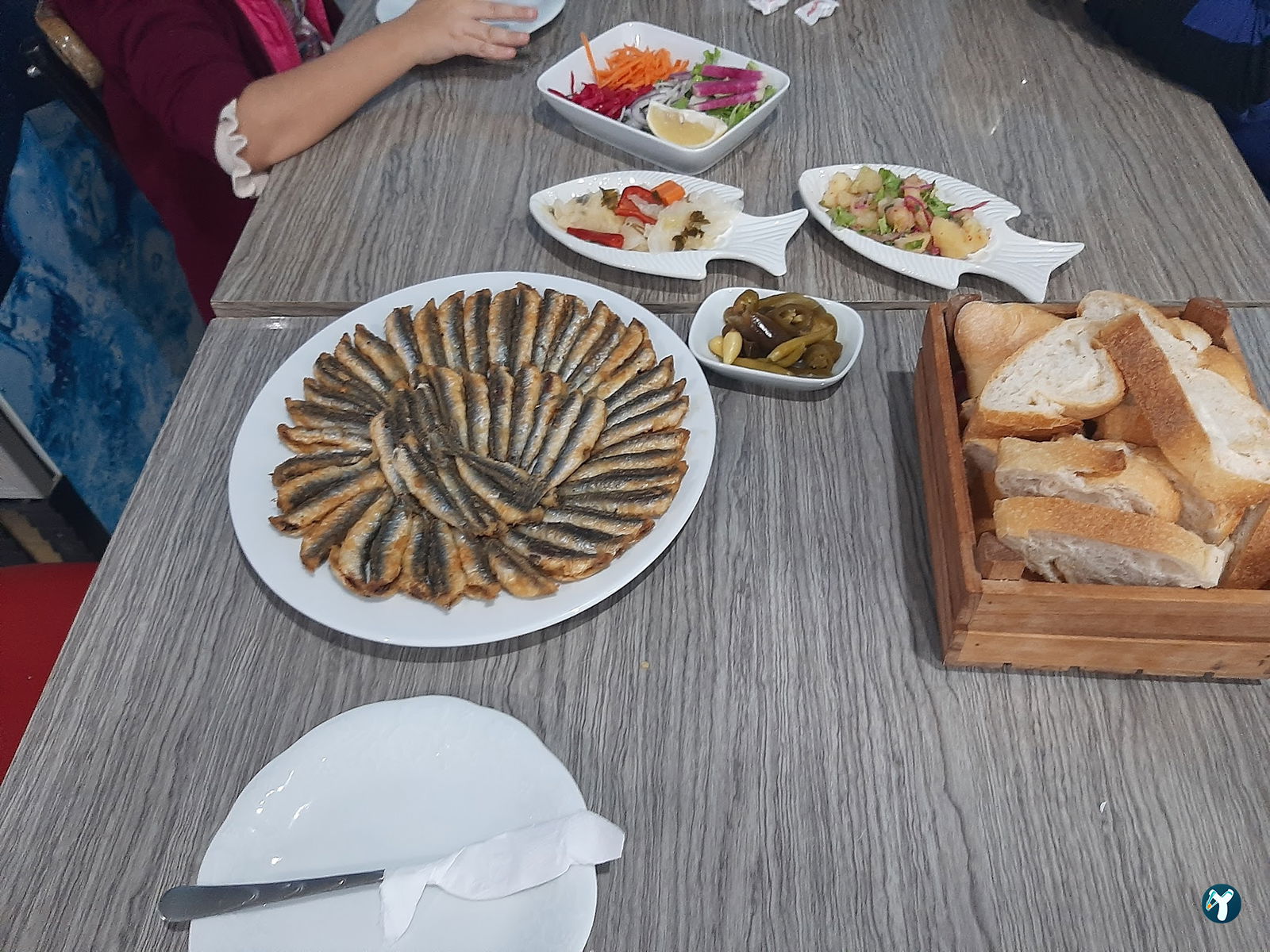 Mert Balıkçılık