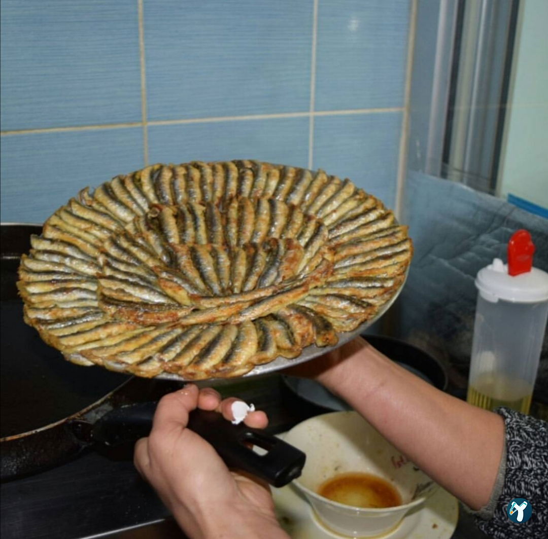 Mert Balıkçılık