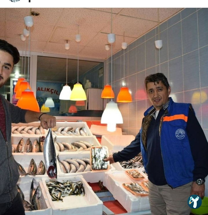 Mert Balıkçılık