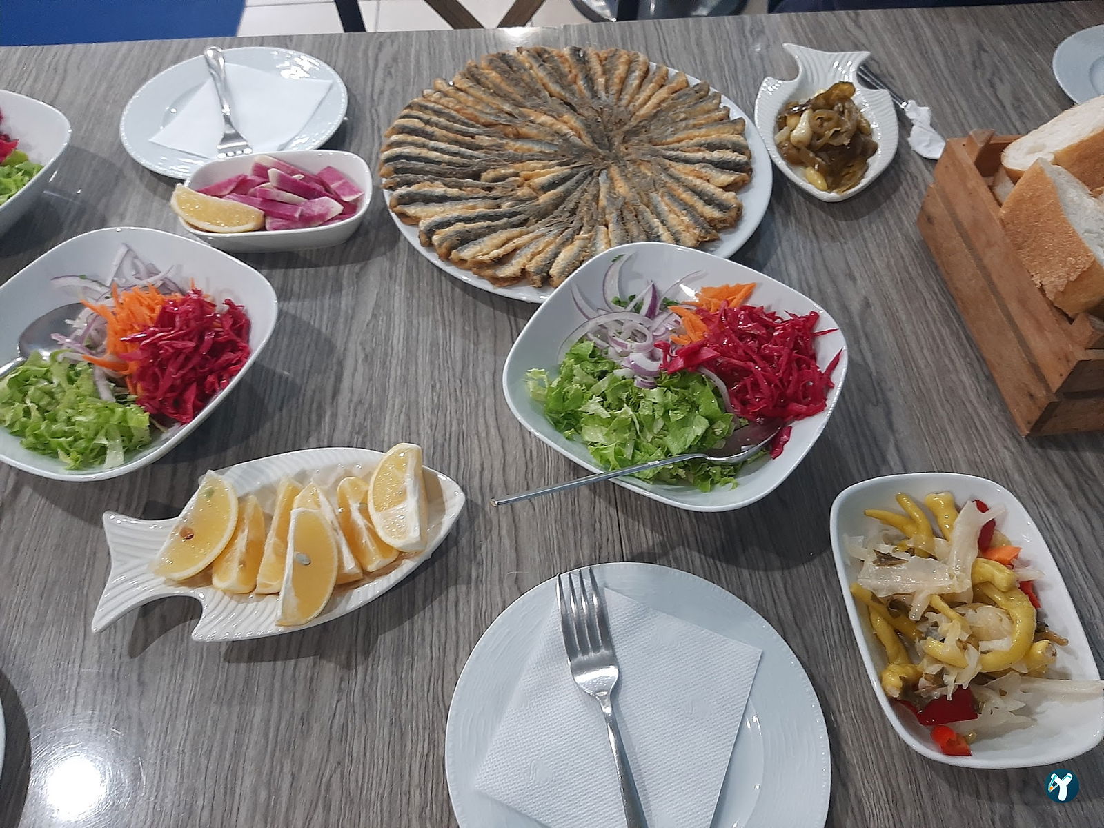 Mert Balıkçılık