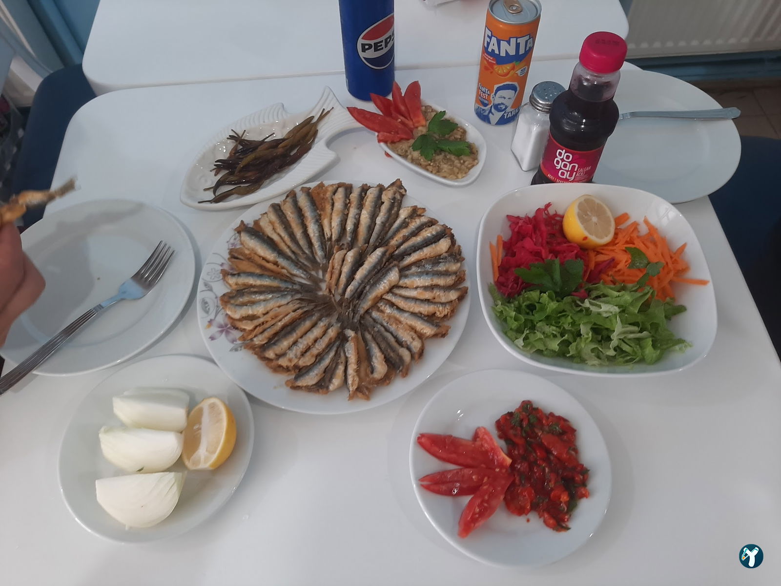 Mert Balıkçılık