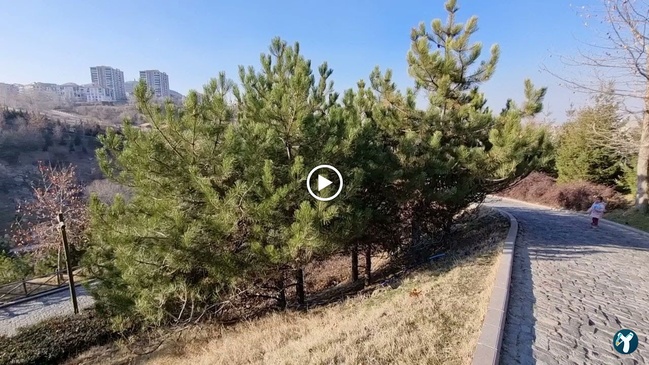 Altınköy Döngeller Konağı Binicilik Merkezi