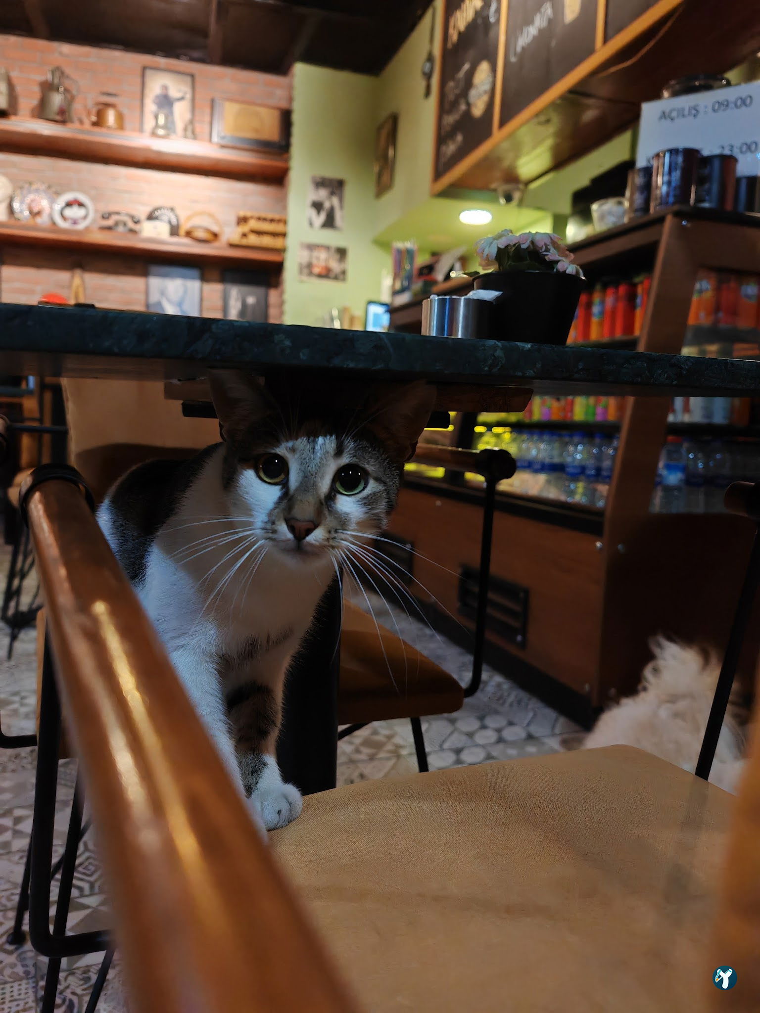 Agusto Cafe